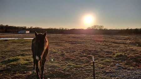 17610 Soman Nevada, TX 75173