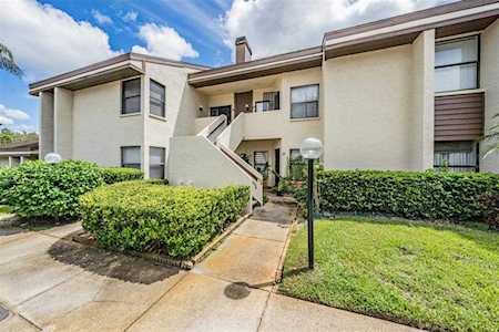 2816 Countrybrook Dr #23 Palm Harbor, FL 34684