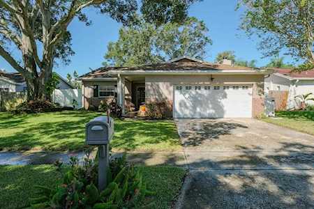 1668 E Orangeside Rd Palm Harbor, FL 34683