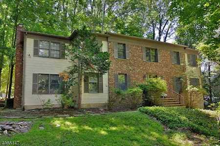 2 Old Chimney Rd Randolph Twp., NJ 07869