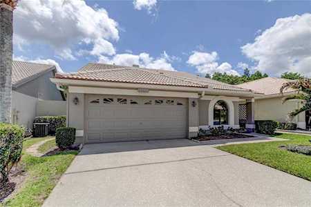3664 Darston St Palm Harbor, FL 34685