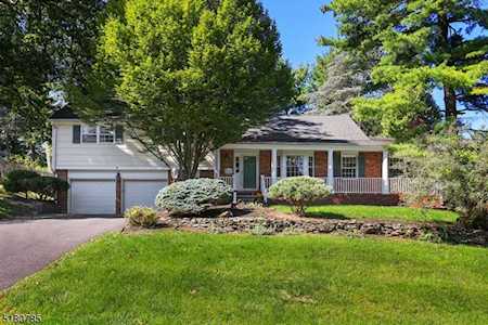 8 Burrington Gorge Westfield Town, NJ 07090