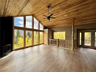 857 Quartzville Rd Alma, CO 80420