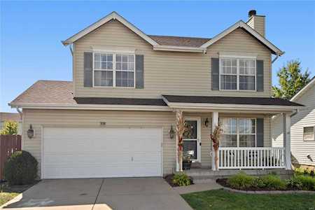 308 Briarchase Circle Lake St Louis, MO 63367