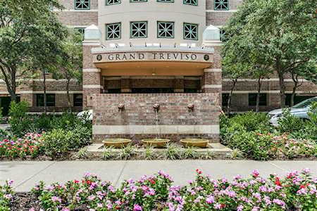 330 Las Colinas Boulevard E #164 Irving, TX 75039