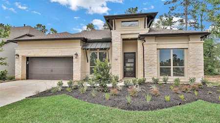 542 Carina Gaze Ct Willis, TX 77318