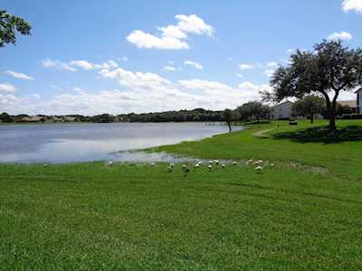 402 Cottonwood Place Boca Raton, FL 33431