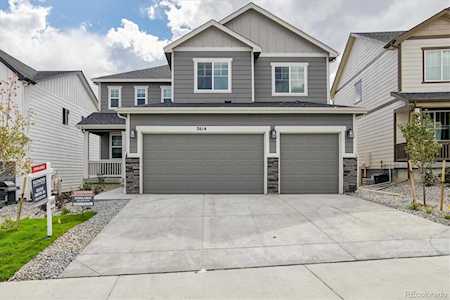 2614 Gray Wolf Place Castle Rock, CO 80104