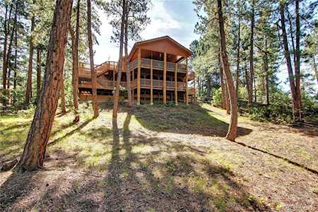 203 Staghorn Way Franktown, CO 80116
