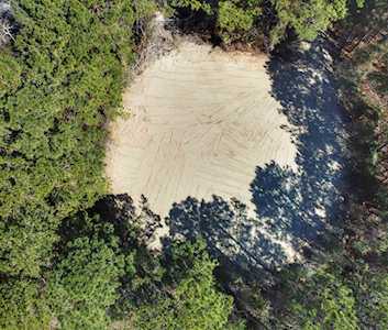 TBD Black Gum Rd. Pawleys Island, SC 29585