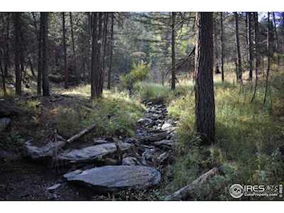 1873 Stringtown Gulch Rd Bellvue, CO 80512