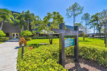 36750 Us Highway 19 N #15115 Palm Harbor, FL 34684