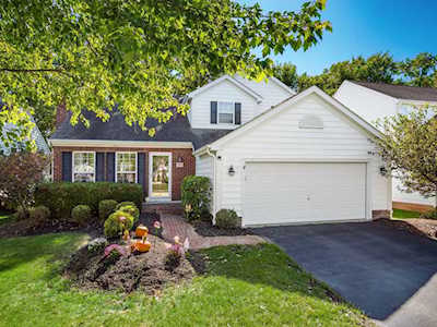 393 Zion Drive Powell, OH 43065