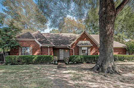 3454 Angelin Cv Bartlett, TN 38135