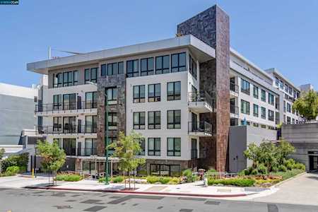 1605 Riviera Ave Walnut Creek, CA 94596
