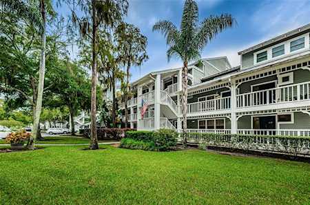 2533 Dolly Bay Dr #202 Palm Harbor, FL 34684