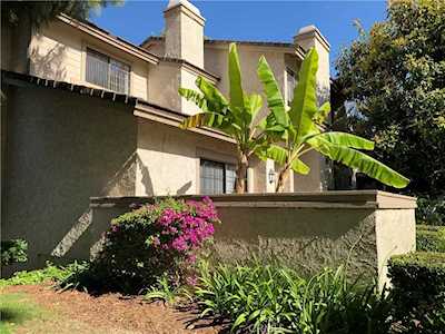 8 Misty Shadow #3 Irvine, CA 92603