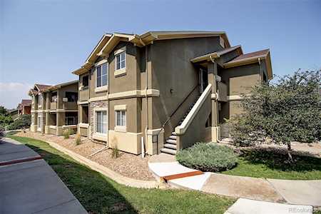 4538 Copeland Loop #204 Highlands Ranch, CO 80126