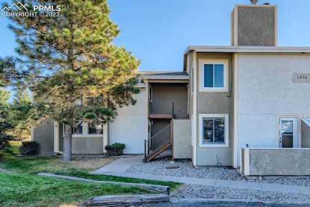 1030 Magic Lamp Way Monument, CO 80132