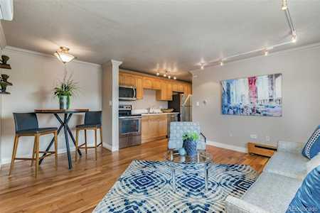 558 N Washington St #308 Denver, CO 80203