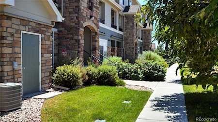 474 Black Feather Loop #407 Castle Rock, CO 80104