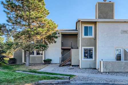 1030 Magic Lamp Way #5E Monument, CO 80132