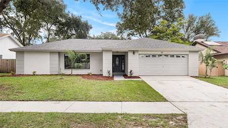 48 Turnstone Dr Safety Harbor, FL 34695