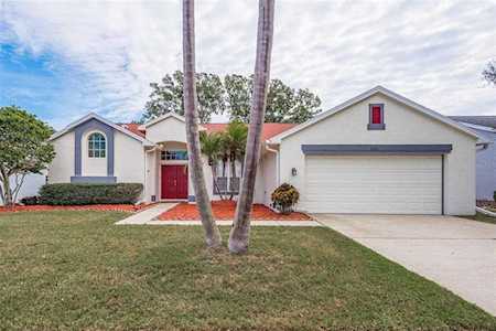 2533 Aster Dr Palm Harbor, FL 34684