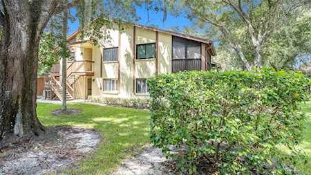 2360 Newburg Ln #D Safety Harbor, FL 34695