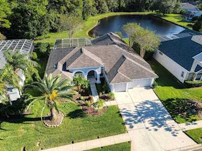 4040 Ligustrum Dr Palm Harbor, FL 34685