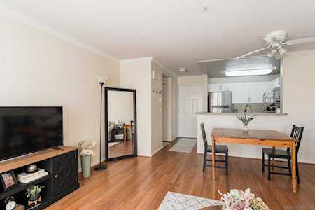8889 Caminito Plaza Centro #7305 San Diego, CA 92122
