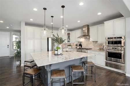 10606 Skydance Dr Highlands Ranch, CO 80126