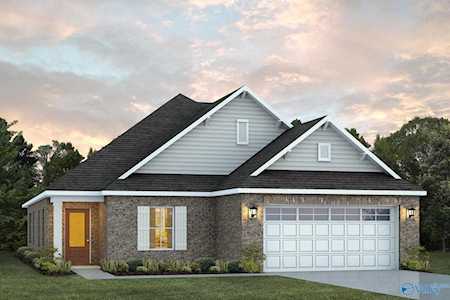 6527 Oak Meadow Drive Owens Cross Roads, AL 35763