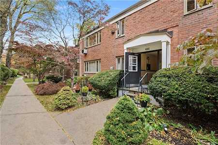 681 Hillside Avenue #D White Plains, NY 10603