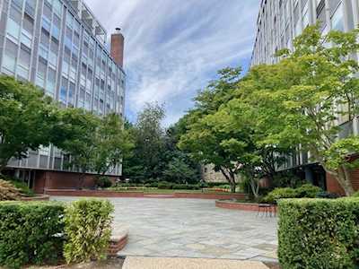 70 Park St #25 Brookline, MA 02446