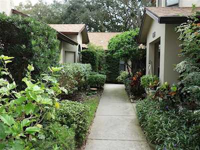 1611 Hamilton Ct Dunedin, FL 34698