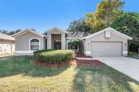 4178 Ridgemoor Dr N Palm Harbor, FL 34685