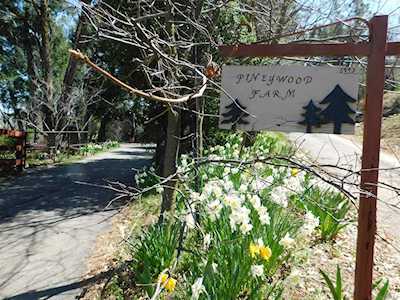 2225 Highway 78 Julian, CA 92036