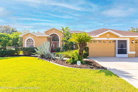 14206 Carlisle Dr Spring Hill, FL 34609