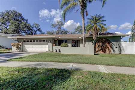 215 Meadowcross Dr Safety Harbor, FL 34695