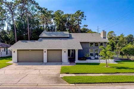 2494 Indian Trl E Palm Harbor, FL 34683