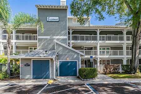 2577 Dolly Bay Dr #301 Palm Harbor, FL 34684