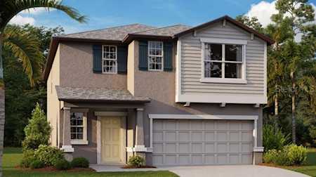 9922 Jackfruit Ct Riverview, FL 33578
