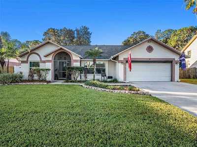 1517 Carter Oaks Dr Valrico, FL 33596