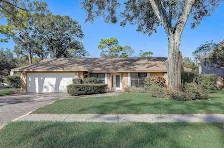 12902 Brushy Pine PLACE Tampa, FL 33624