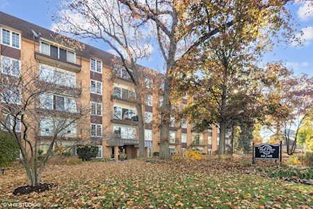 441 N Park Blvd #3A Glen Ellyn, IL 60137