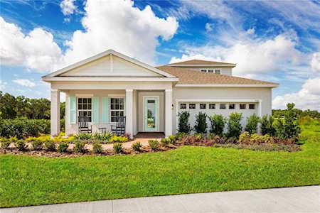 29315 Rosemallow Rd Wesley Chapel, FL 33544