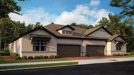 10027 Campanula Ct Land O Lakes, FL 34637