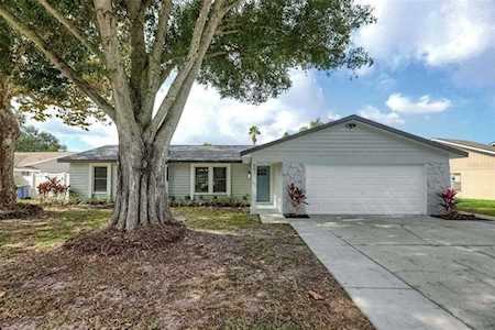 507 Hammock Dr Palm Harbor, FL 34683