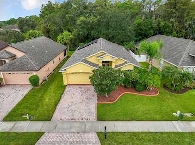 307 Bay Arbor Blvd Oldsmar, FL 34677